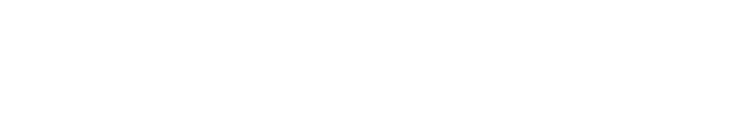 Sasinosoft